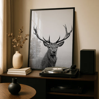 Animal Art Prints