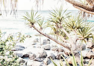 Among the Pandanus 1