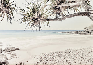 Among the Pandanus 2