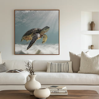 Ancient Voyager Turtle