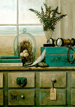 Coastal Curiosities 2