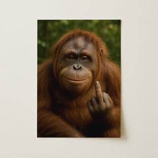Cheeky Orangutan