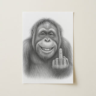 Cheeky Orangutan Illustrated