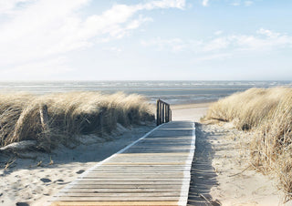 Dune Path 4