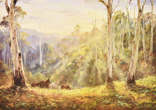 Sunrise Meadow by Kevin Best