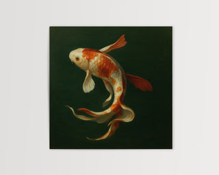 One Koi