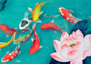 Lotus & Koi