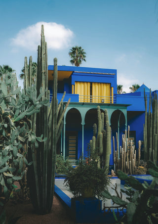Majorelle in Marrakech