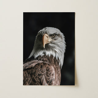 Monarch of the Skies