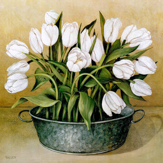 Steel White Tulips