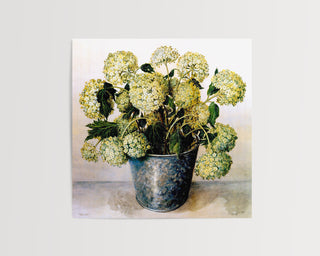 Steel White Hydrangeas