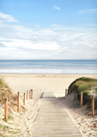 Seaside Path 1