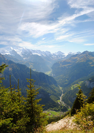 Valley Of The Alps