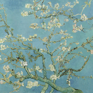 Almond Blossom by Van Gogh (Square format)