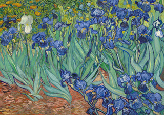 Irises by Van Gogh